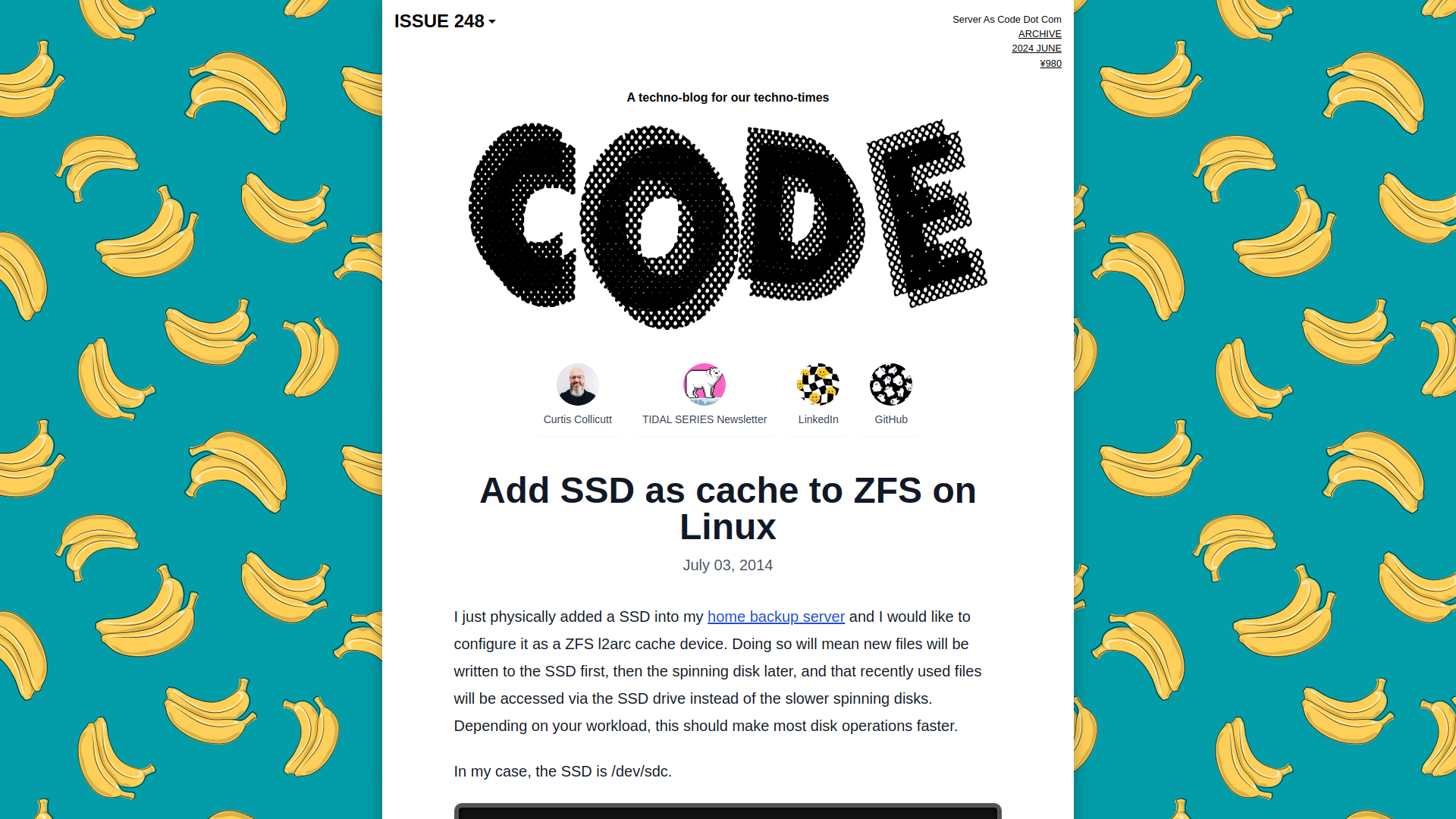 Add SSD as cache to ZFS on Linux | Server As Code Dot Com