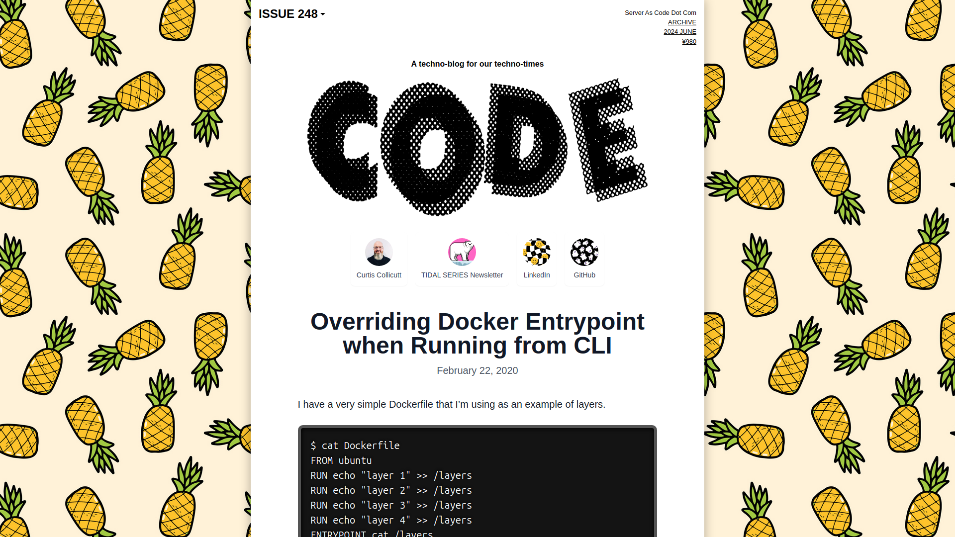 Overriding Docker Entrypoint when Running from CLI | Server As Code Dot Com