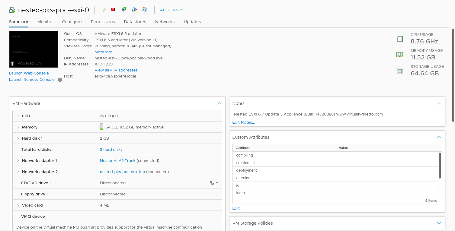 nested esxi nics